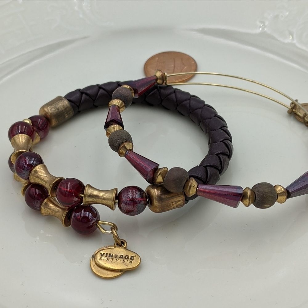 Alex and Ani Depths of the Wild 2 Bracelet Set - Picture 4 of 8